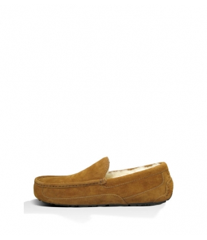 Mens Ascot - Suede Chestnut 5775